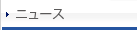 �˥塼��