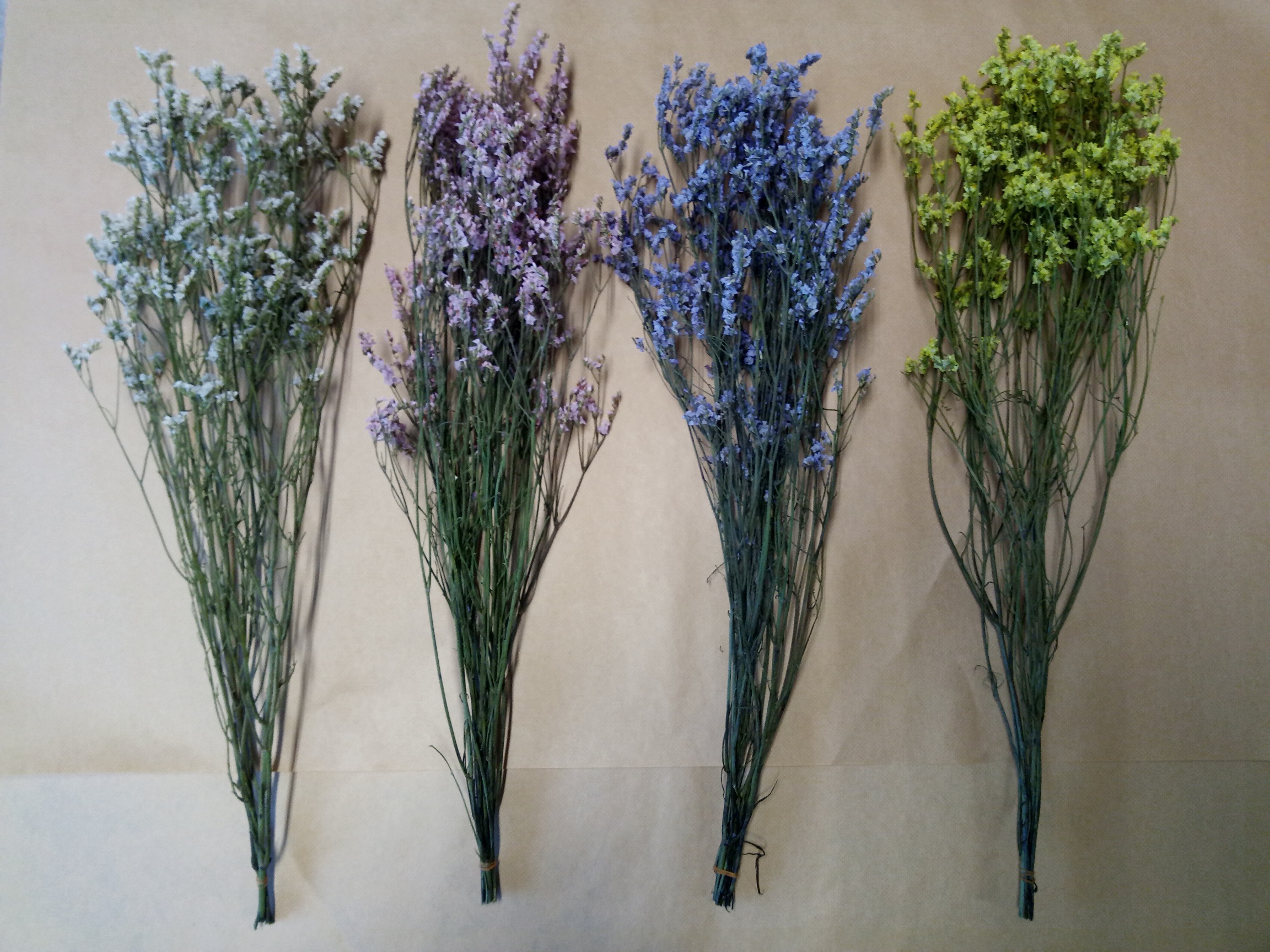 Limonium504color+lover35+Delivery charges